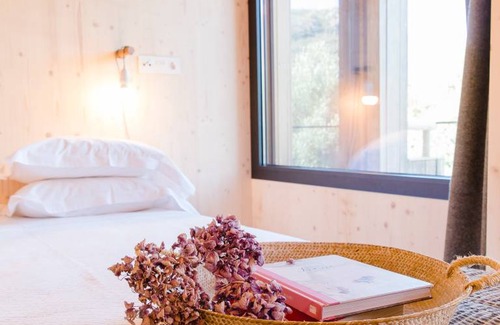 Alvados Apartment | 50 m² Apartment ∙ 1 bedroom ∙ 2 guests