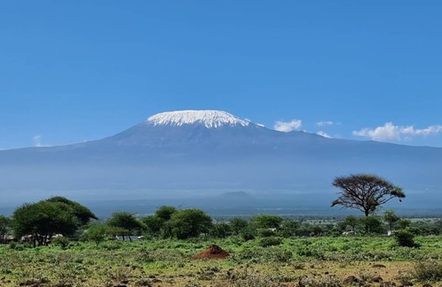 Amboseli Cabin | 50 m² Cabin ∙ 1 bedroom ∙ 3 guests
