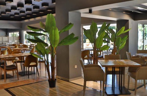 Jerez de la Frontera Hotel | 50 m² Hotel ∙ 127 guests