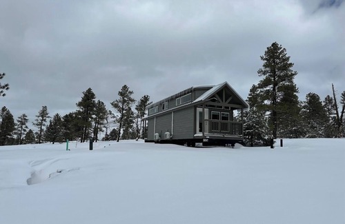 Williams Ski Chalet | 5B Cozy chalet in Beautiful Williams with AC, Wi-Fi, Forest View And Patio.