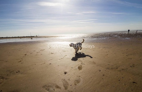 Hunstanton House | 6 berth caravan for hire in Hunstanton by the beach in Norfolk ref 13002L