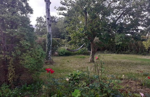 Rødvig House | 6 person holiday home in Rødvig Stevns-By Traum