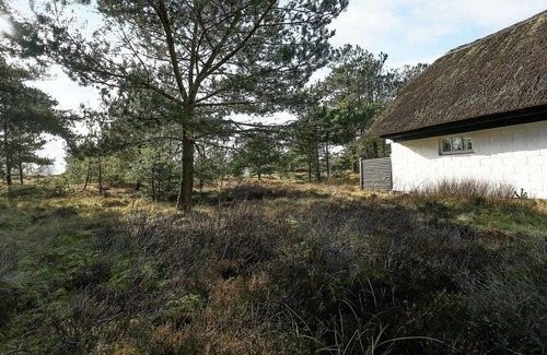 Mosevra House | 6 person holiday home in Oksbøl