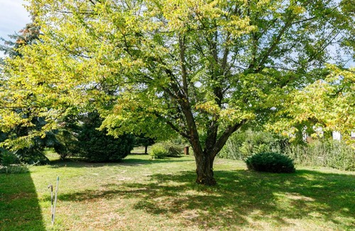 Balatonboglar Apartment | 60 m² Apartment ∙ 2 bedrooms ∙ 5 guests