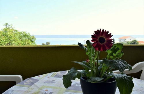 Dobropoljana Apartment | 60 m² Apartment ∙ 2 bedrooms ∙ 4 guests