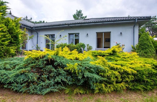Czaplinek Apartment | 60 m² Apartment ∙ 1 bedroom ∙ 4 guests