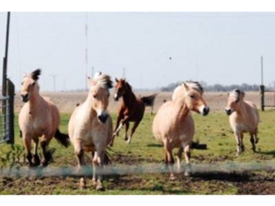 Ostbense Apartment | 60 m² Apartment ∙ 2 bedrooms ∙ 4 guests