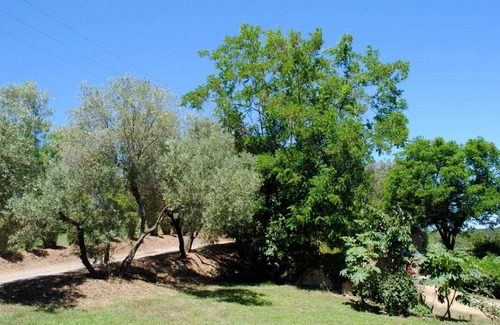 Cervione House | 63 m² House ∙ 2 bedrooms ∙ 4 guests