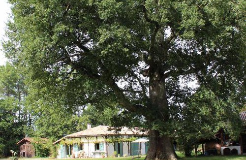 Luglon House | 64 m² Gîte ∙ 1 bedroom ∙ 2 guests