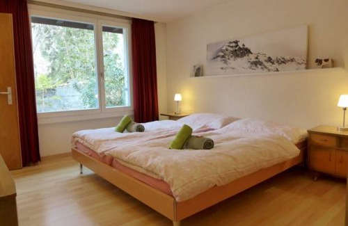 Lauterbrunnen Ski Chalet | 650 ft² Chalet