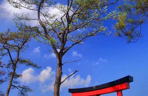 Baguio Apartment | 68 m² Apartment ∙ 2 bedrooms ∙ 7 guests