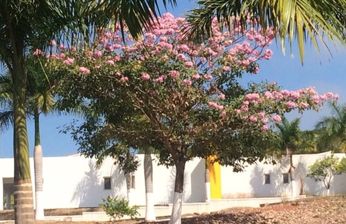 Santa Cruz House | #7 Shared Pool, 3 Bedroom/3 Bathroom, Private beach ramada WIFI SKY