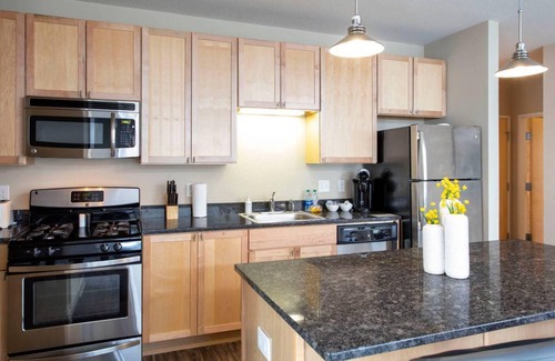 Downtown Minneapolis Apartment | 70 m² Apartment ∙ 1 bedroom ∙ 2 guests