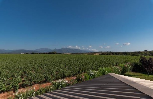 Tallone Apartment | 70 m² Apartment ∙ 2 bedrooms ∙ 5 guests