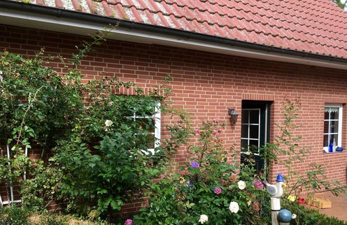 Cappel House | 70sqm holiday home in Cappel, on an idyllic courtyard, for up to 5 people