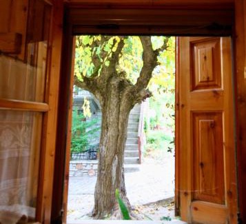 Eptalofos House | 7hills Traditional Guesthouse By the Waterfall