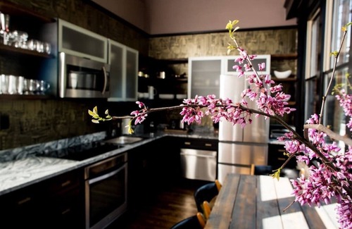 Downtown Asheville Apartment | 80 LEX 201 : Exquisite Lodging 1 BD King/1 BA 639 SQ FT + free parking