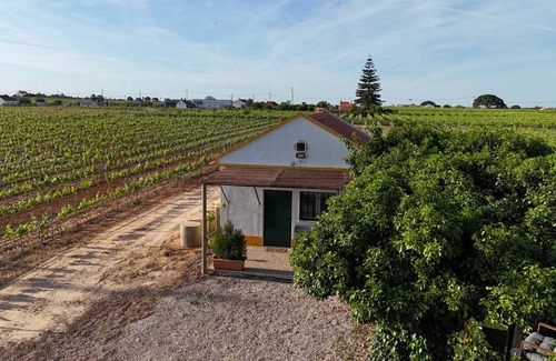 Palmela Cottage | 80 m² Cabin ∙ 1 bedroom ∙ 3 guests