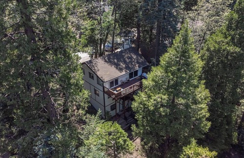 Twin Peaks Cabin | 825 Lake View Lane · Pet Friendly Treetop Cabin w/Deck & Forest Views