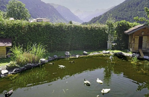 Sankt Gallenkirch Apartment | 90 m² Apartment ∙ 3 bedrooms ∙ 6 guests