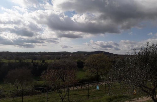 Piansano Apartment | a 5 minuti dal lago di Bolsena, immerso nel verde