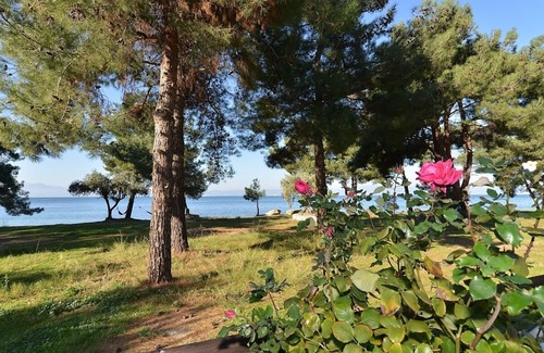 Skala Rachoniou Villa | A Beautiful Seafront House, fully Air Conditioned, Ideal for your Summer Holidays !