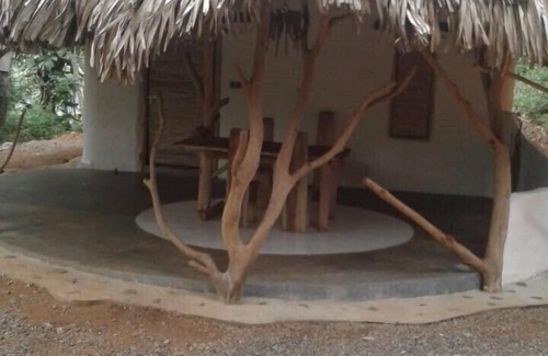 Ella Cottage | A cabin for nature lovers