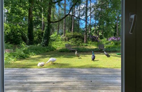 Wuustwezel House | A Calm & Quiet Stay