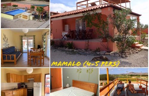 Maio House | A Caminhada