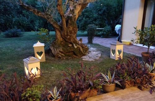 Pagnano Apartment | A casa di Jolanda