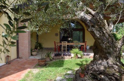 Pagnano Apartment | A casa di Jolanda