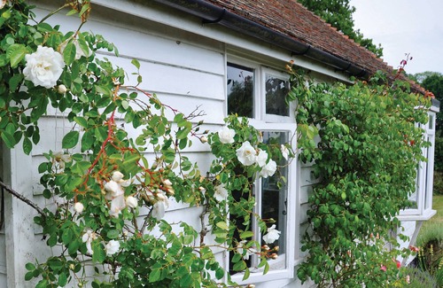 Wittersham Cottage | A charming, detached, weather-boarded cottage, set in a secluded location on the edge of the histori