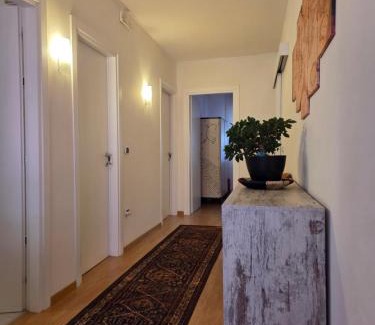 Paluzza Apartment | A cjase di Diego
