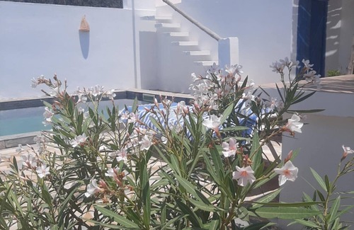 Djerba Midun Apartment | A corner of paradise, surrounded by a majestic olive grove, 5 minutes from the beach.