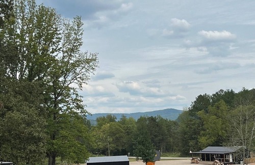 Ozark Apartment | A cozy cabin with Ozark Mountain Views!