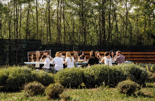 Stefanestii de Jos Villa | A cozy retreat and welcoming retreat in the middle of our Alpaca farm