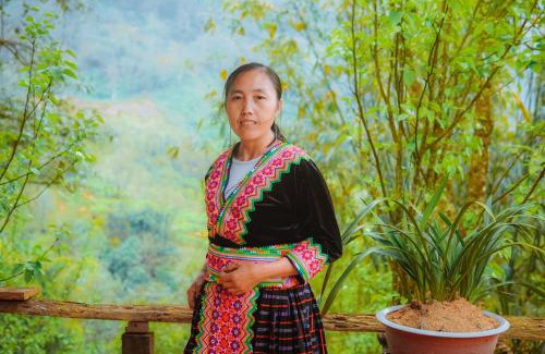 Phong Tho Apartment | A Dế Homestay Sơn Tra