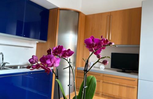 Corato Apartment | A due passi da