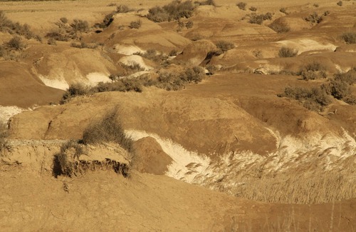 Arguedas Apartment | A family nest, a step Desert Bardenas