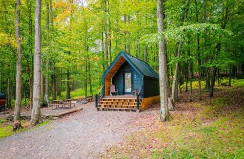Wellsboro House | A-frame 1