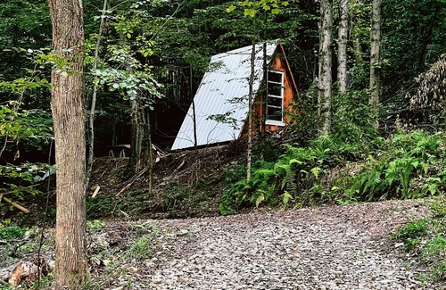 Shinglehouse Cabin | A-Frame Tiny Cabin