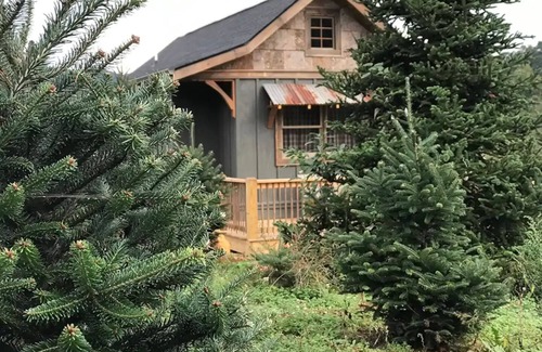 Waynesville Cabin | A hand-crafted cabin built in the middle of a Christmas Tree farm.