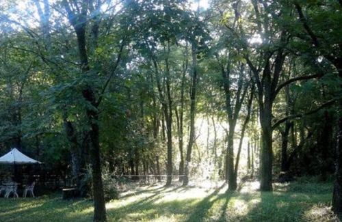 Cremieu Bed & Breakfast | A Haven of Peace in Nature