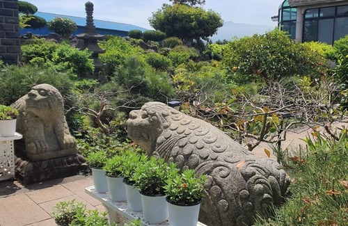 Jocheon Cottage | A healing cottage in Jeju City where you can play with dog in a spacious yard.
