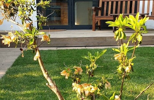Canford Cliffs House | A hidden gem a stones throw from Sandbanks beach