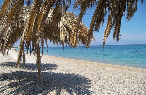 Kiato Condo | A Home Away From Home within walking distance to the beach, restaurants and more
