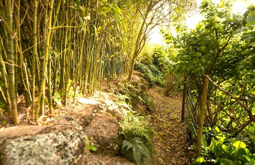 Monserrate House | A House in the Woods