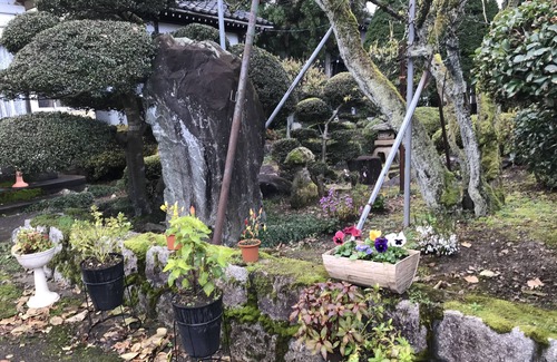 Uozu House | A house with a rural garden