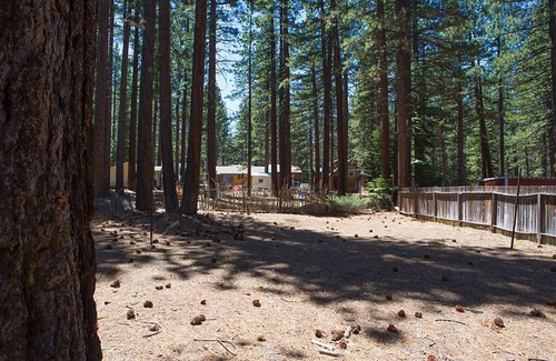 South Lake Tahoe Cabin | A Little House in the Big Woods - Near Ski Resorts and Camp Richardson Resort