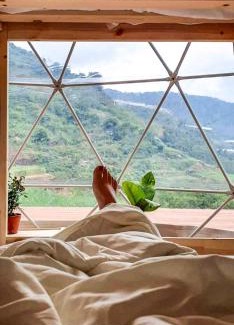 Brinchang Other | A'moss Farmstay